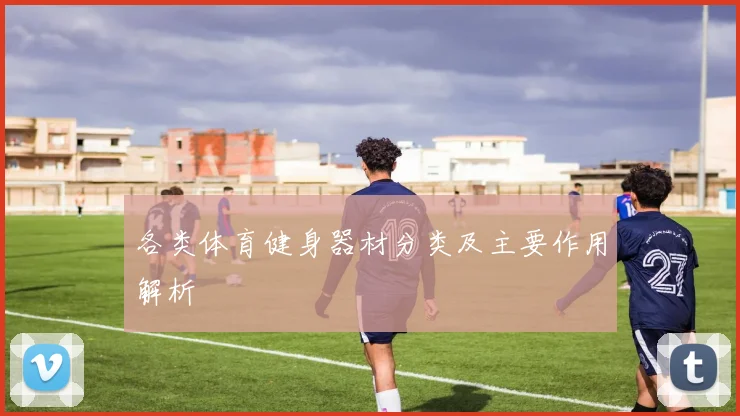 各类体育健身器材分类及主要作用解析