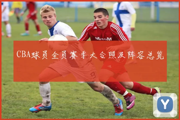 CBA球员全员赛季大合照及阵容总览