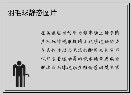 羽毛球静态图片